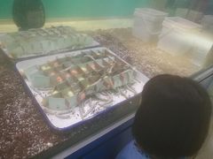 -上海昆虫博物馆