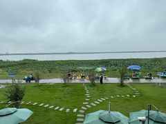 -七的湖·晚芳亭·阳澄湖农家菜·大闸蟹(莲花岛店)