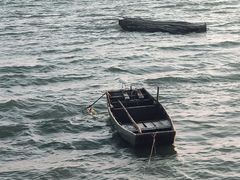 -芒洲湿地公园