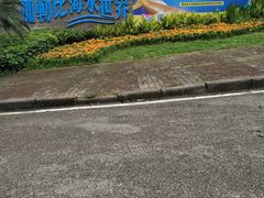 -重庆海昌加勒比海水世界