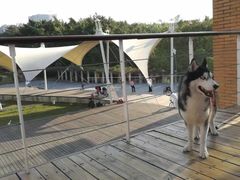 -燕晗山郊野公园