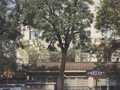 -清真·穆萨砂锅(大皮院店)