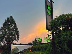 -绿茶餐厅(龙井船宴· 品牌总店)