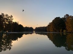 -池杉湖湿地公园
