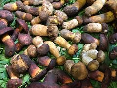 -大理董·董家小厨野生菌火锅(古城旗舰店)