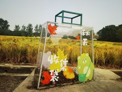 -嘉北郊野公园