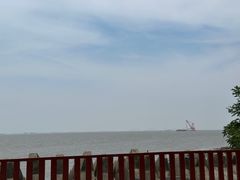 -上海滨江森林公园