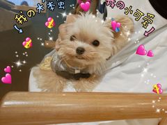 -美奈小馆·东南亚菜(福田星河COCO Park店)