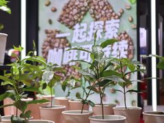-国家会展中心