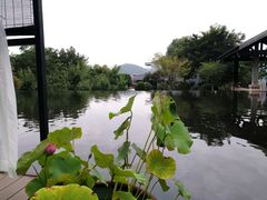 景观位-龙吟九品(青龙山庄店)
