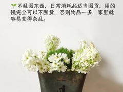 -福孕妈妈家政•月嫂育儿嫂保姆