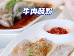 -云中小雅
