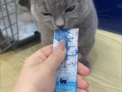-芭比堂动物医院·24小时·眼科中心(深圳中心)