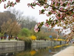 -海棠花溪(元大都城垣遗址公园)