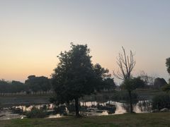 -两河城市森林公园