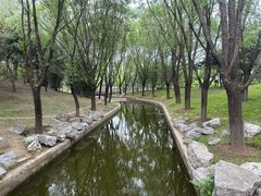 -大望京公园