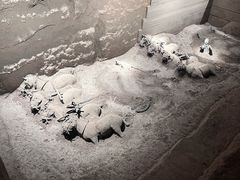 -秦始皇帝陵博物院-丽山园