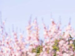 -无锡梅园公园