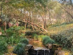 -杭州半山国家森林公园