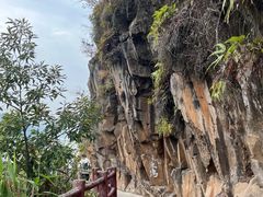 -羚羊峡古栈道森林公园