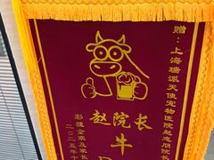 -瑞派天使宠物医院·神经外科·骨科·核磁CT(洛川中路店)