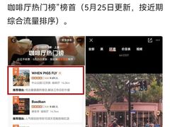 -WHEN PIGS FLY当猪飞