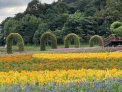-广州市石门国家森林公园