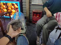 -7890+霸王甲·甲鱼爱尚蛙(坪洲店)