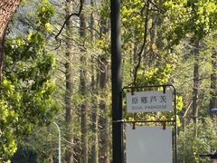 -原乡芦茨咖啡
