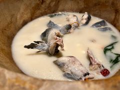 -滇小鱼·云南野生菌火锅(上杭路店)
