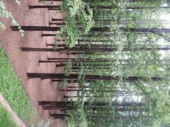 android_upload_pic-八大关景区