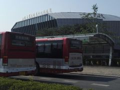 -上海大学生体育中心游泳馆(松江店)