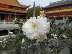-太平禅寺