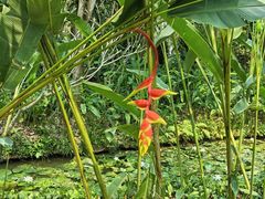 -中国科学院西双版纳热带植物园