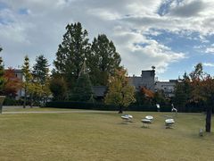 -金泽21世纪美术馆