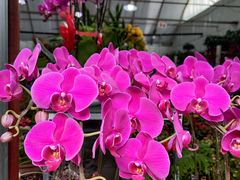 -玉泉综合市场(天山北路店)