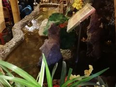 -多哥水·西双版纳传统傣味·昆明土著私藏云南菜(司马巷店)