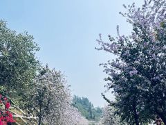 -小南山公园