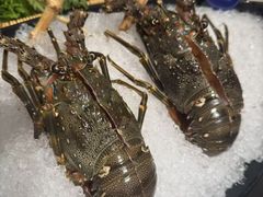 -海月轩海鲜豆捞(紫金塔店)
