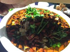 -佶政筋饼·新概念(安阳路店)