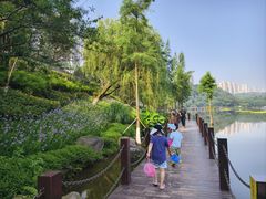 -重庆彩云湖湿地公园