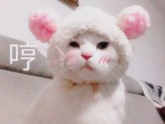 -艺林盲人按摩院(长寿店)