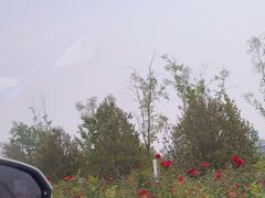 -白洋淀景区
