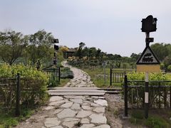 -西青郊野公园
