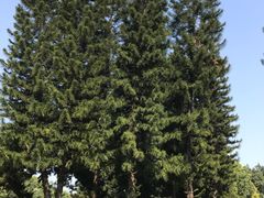 -人民公园(罗湖区)