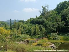 -云溪植物园