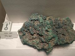 -天津自然博物馆