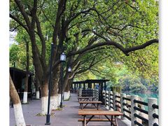 -白马涧龙池景区