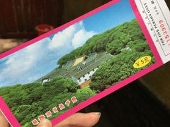 -普陀山慧济禅寺