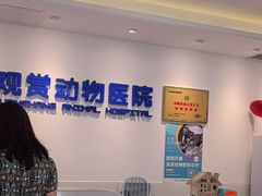 -北京观赏动物医院·24小时大型综合·猫专科·异宠专科